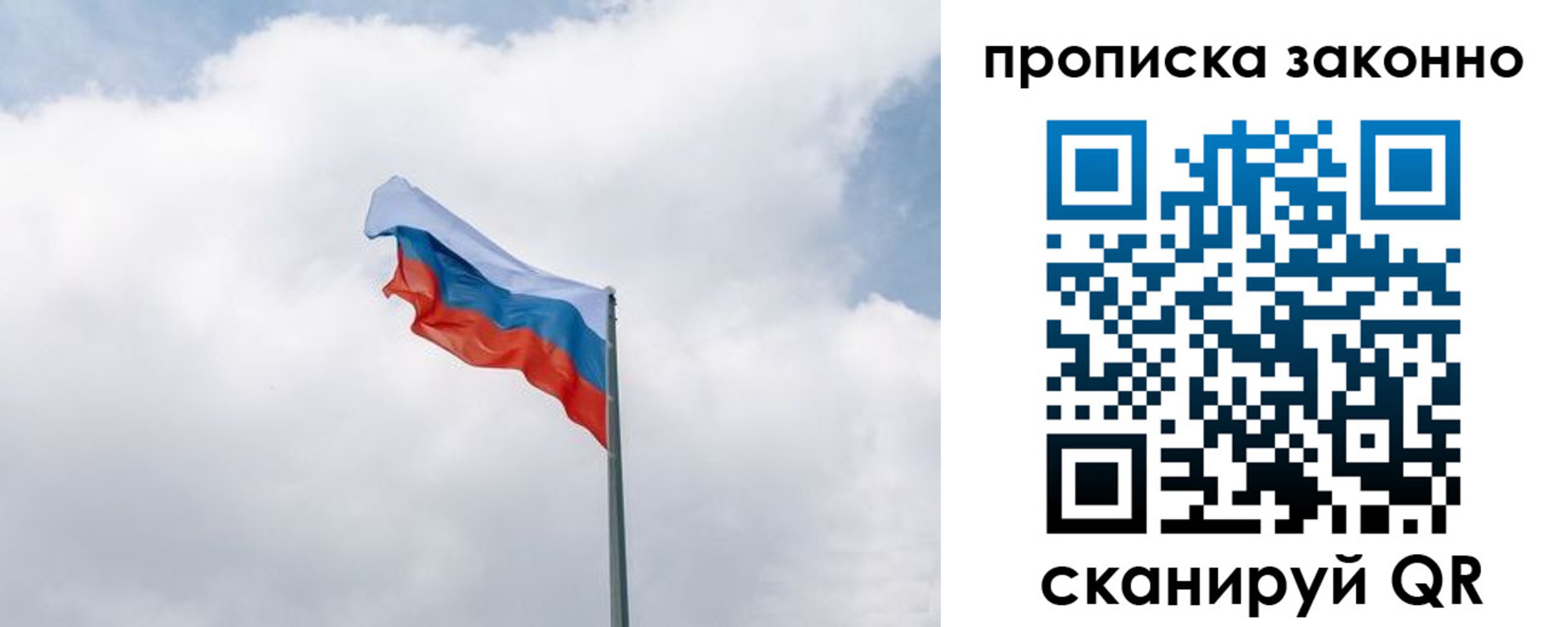 прописка поиск в Ельне