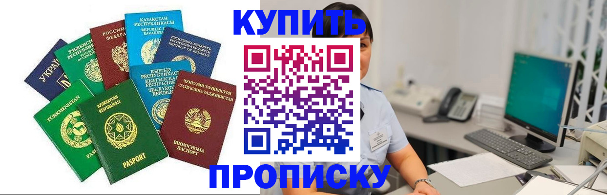 прописка в Ельне